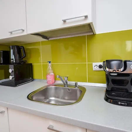 Park Apartment-cismigiu Garden 布加勒斯特